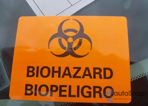 2024 Nissan Sentra Sv Xtronic Cvt from USA, damaged, VIN 3N1AB8CV2RY334198